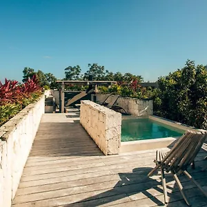 Vida Boho 6 With Special Fee To Access Bardo Mexico