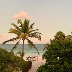 Libelula Beachfront Tulum